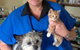 Killarney Vale Veterinary Clinic - thumb 4