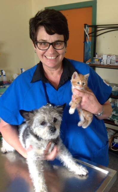 Killarney Vale Veterinary Clinic - Vet Australia 4