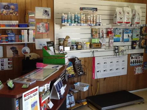 Killarney Vale Veterinary Clinic - Vet Australia 5
