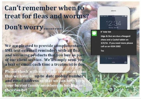 Killarney Vale Veterinary Clinic - Vet Australia 8