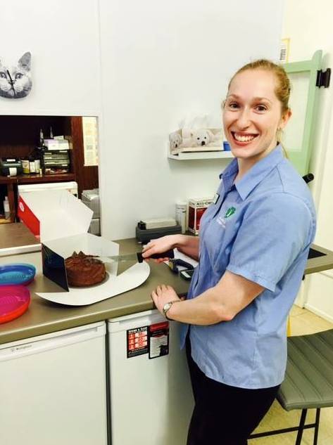 Killarney Vale Veterinary Clinic - Vet Australia 10