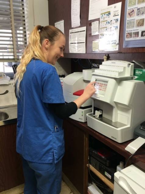 Killarney Vale Veterinary Clinic - Vet Australia 12