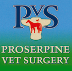 Proserpine Vet Surgery