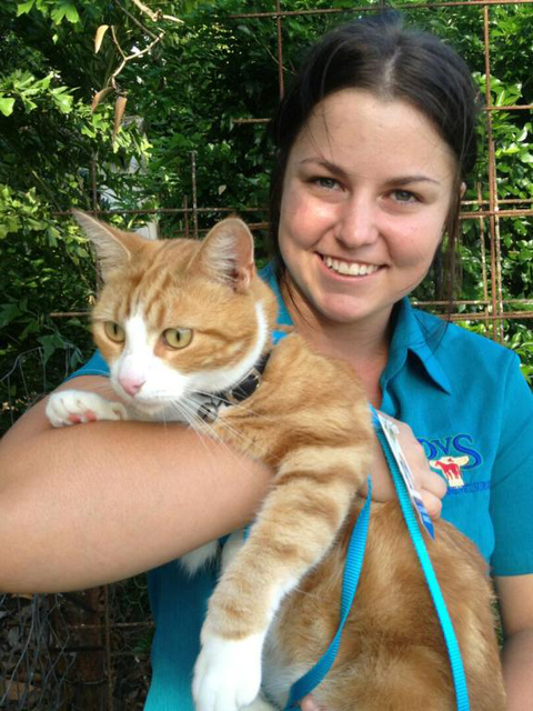 Proserpine Vet Surgery - Vet Australia 3