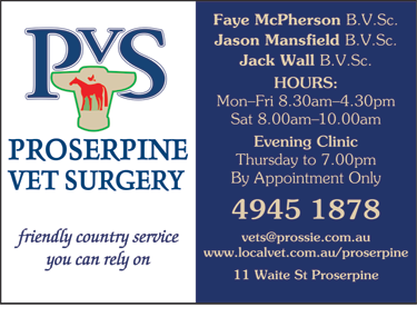 Proserpine Vet Surgery - Vet Australia 6