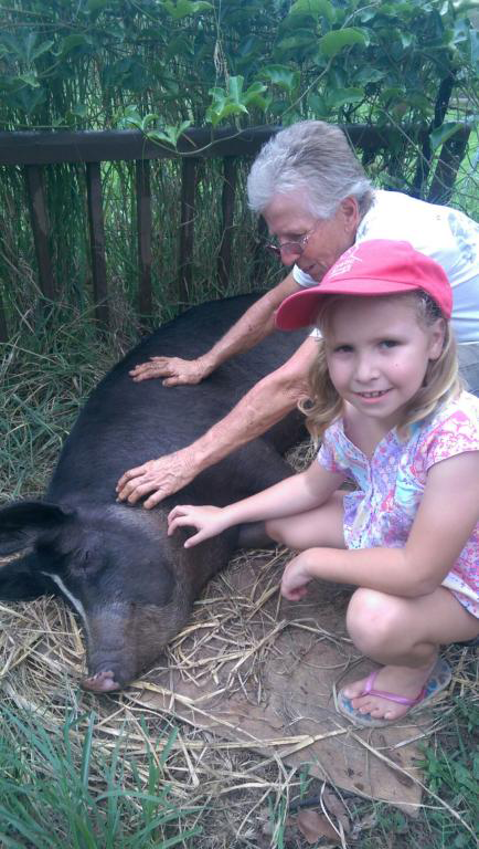 Proserpine Vet Surgery - Vet Australia 11
