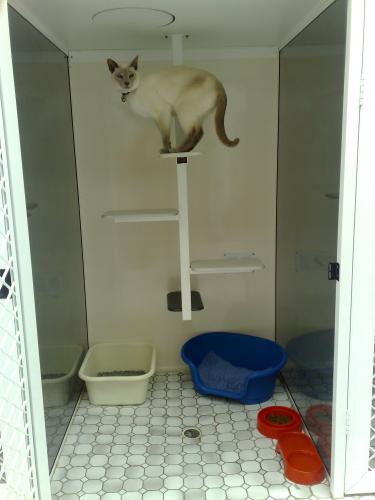 Rathmines Veterinary Hospital - Vet Australia 3