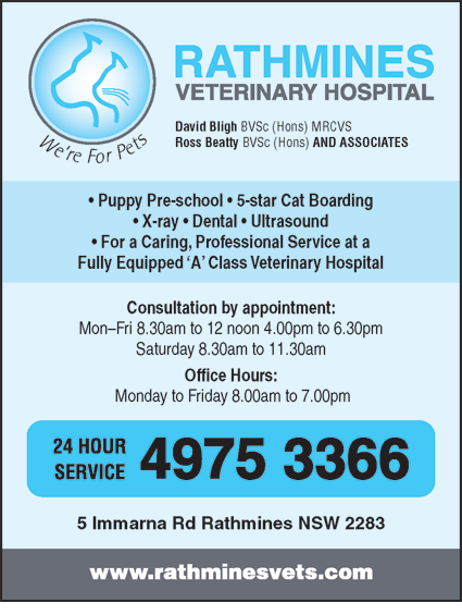 Rathmines Veterinary Hospital - Vet Australia 4