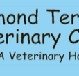 Raymond Terrace Veterinary Clinic - Vet Australia