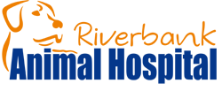 Riverbank Animal Hospital - Vet Australia 0