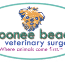 Robert Mills - Vet Australia
