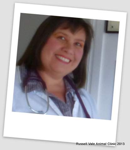 Russell Vale Animal Clinic - Vet Australia 2