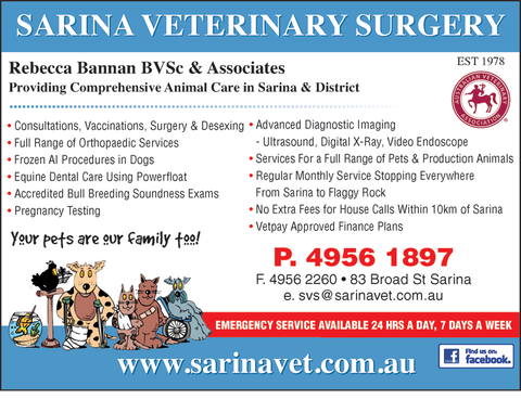 Sarina Veterinary Surgery - Vet Australia 1
