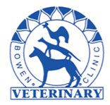 Seth McIntosh Bowen Vet - Vet Australia