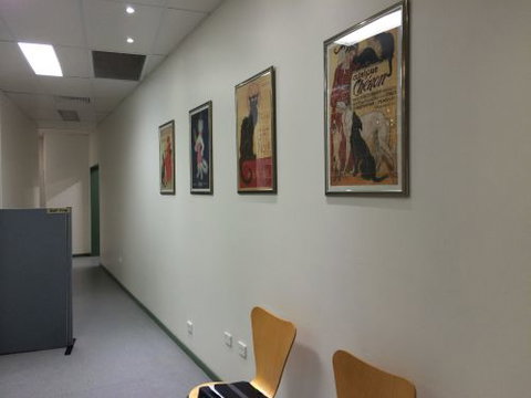 Shellharbour Veterinary Clinic - Vet Australia 2