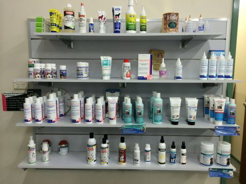 Shellharbour Veterinary Clinic - Vet Australia 3