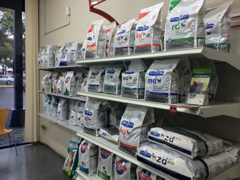 Shellharbour Veterinary Clinic - Vet Australia 4