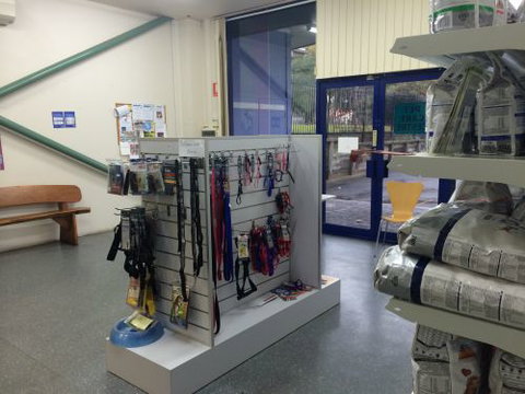 Shellharbour Veterinary Clinic - Vet Australia 5