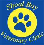 Shoal Bay NSW Vet Australia
