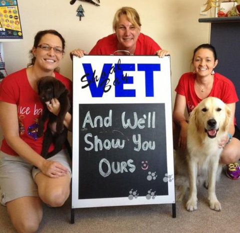 Shoal Bay Veterinary Clinic - Vet Australia 4