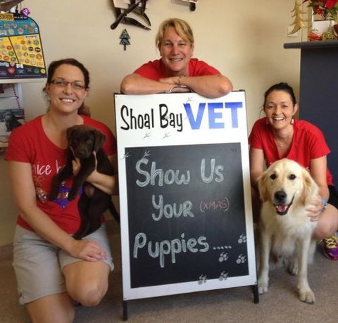 Shoal Bay Veterinary Clinic - Vet Australia 5