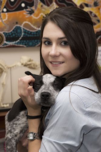Sugarland Animal Hospital - Vet Australia 1
