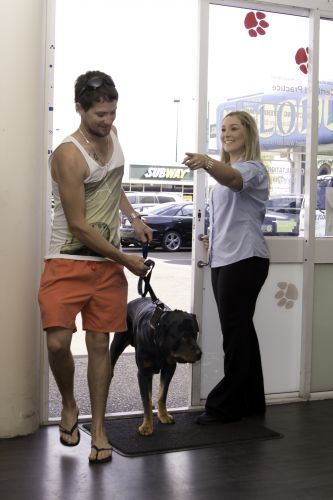 Sugarland Animal Hospital - Vet Australia 2
