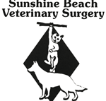 Sunshine Beach Veterinary Surgery - Vet Australia