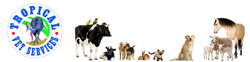 Tropical Vet Services - Vet Australia 0