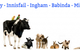 Tropical Vet Services - thumb 1