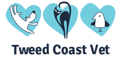  Vet Australia