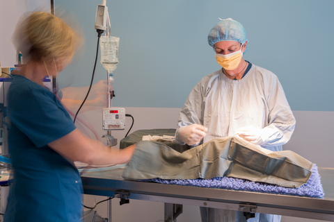 Vitality Vetcare - Vet Australia 7