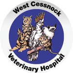 West Cessnock Veterinary Hospital - Vet Australia 0