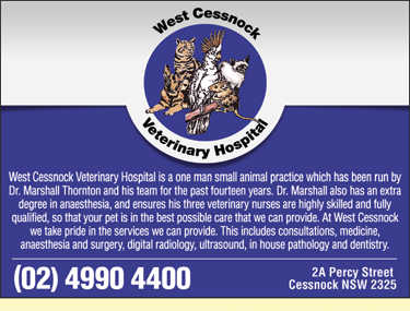 West Cessnock Veterinary Hospital - Vet Australia 1