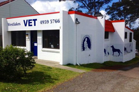 Westlakes Vet Hospital - Vet Australia 1