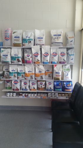 Wide Bay Vet Surgery - Vet Australia 1