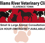 Williams River Veterinary Clinic - Vet Australia