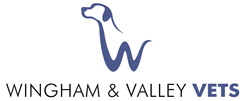 Wingham NSW Vet Australia