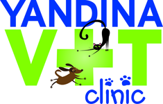 Bridges QLD Vet Australia