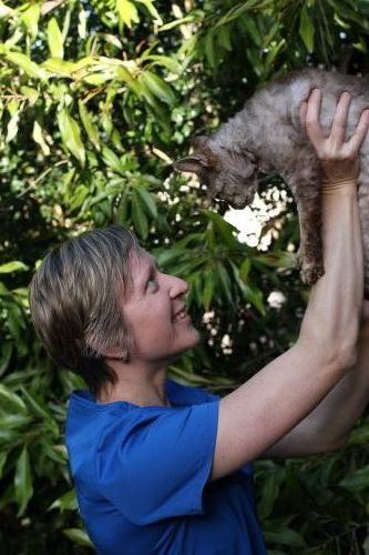 Yandina Vet Clinic - Vet Australia 1