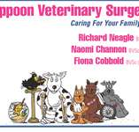 Yeppoon Veterinary Surgery - Vet Australia