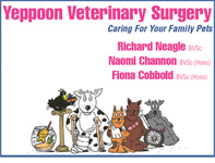 Yeppoon Veterinary Surgery - Vet Australia 0