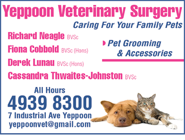 Yeppoon Veterinary Surgery - Vet Australia 6
