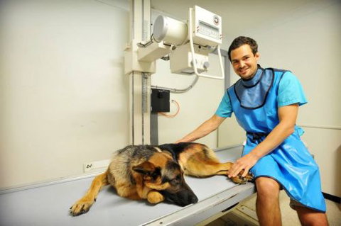 Pacific Vetcare - Vet Australia 0