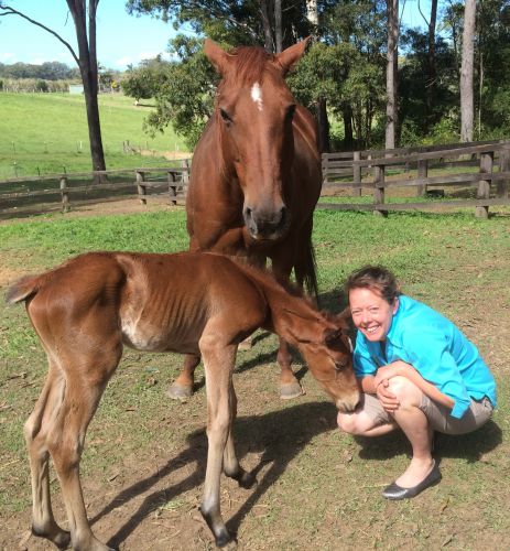 Pacific Vetcare - Vet Australia 5