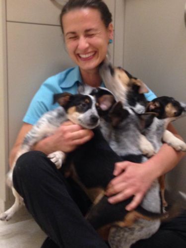 Pacific Vetcare - Vet Australia 7
