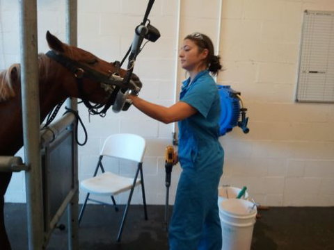 Pacific Vetcare - Vet Australia 9