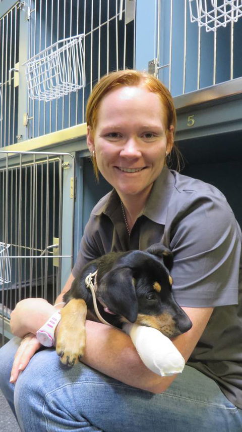 Grafton Veterinary Clinic - Vet Australia 0