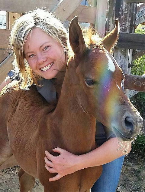 Grafton Veterinary Clinic - Vet Australia 2