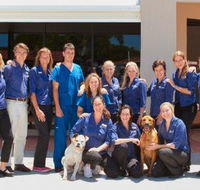 Berkhout Stacey Dr - Vet Australia